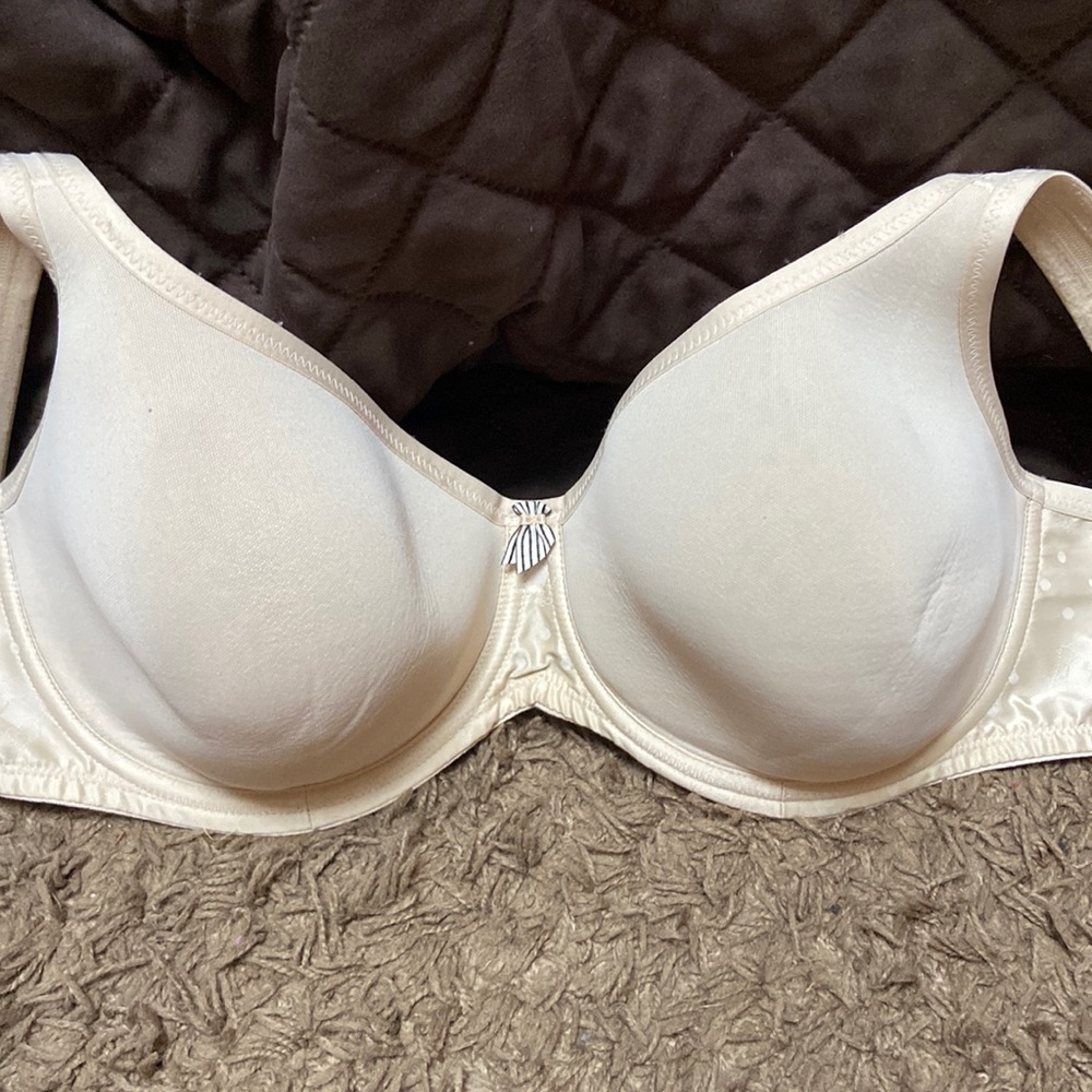 Anita Rosa Faia full cup spacer bra, 32G